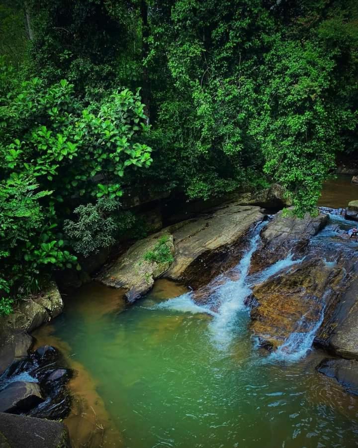 Nisha Homestay Inn Peradeniya Buitenkant foto