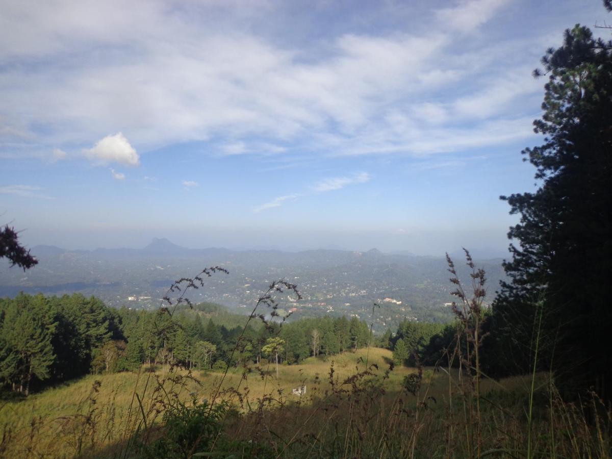 Nisha Homestay Inn Peradeniya Buitenkant foto